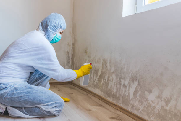 Hvac And Air Duct Mold Remediation inspection of HVAC system in Brentwood